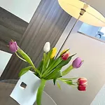 Apartman Grosser Beerberg Zum Prinzenweg