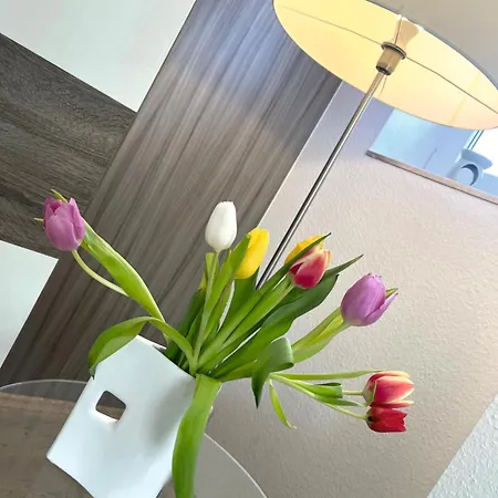 Apartamento Grosser Beerberg Zum Prinzenweg
