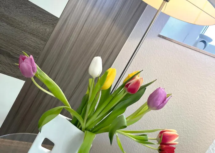 Daire Grosser Beerberg Zum Prinzenweg